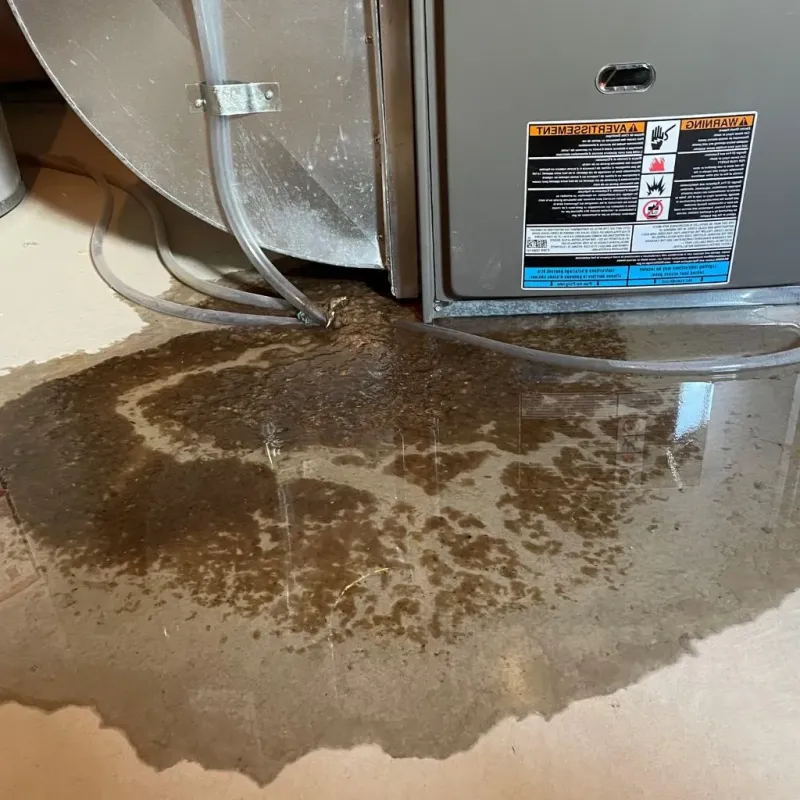 Pipe Burst and Leak Restoration in North Syracuse, NY